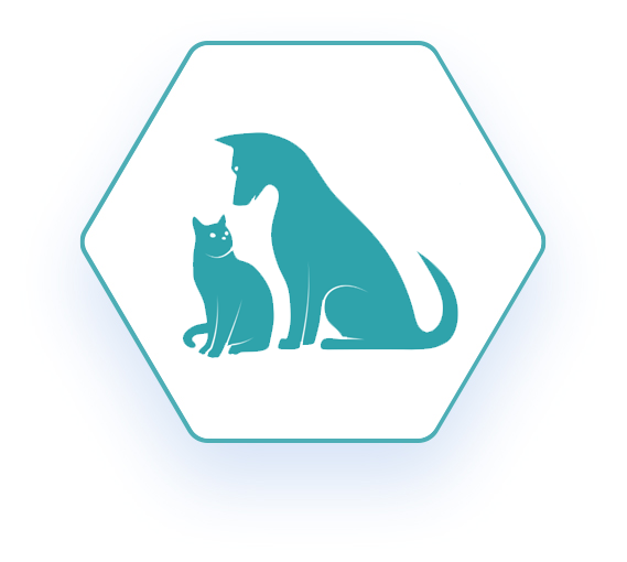 Hexagon shaped network logo with a blue outline of a cat and a dog