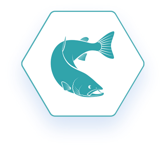 Hexagonal icon with fish 