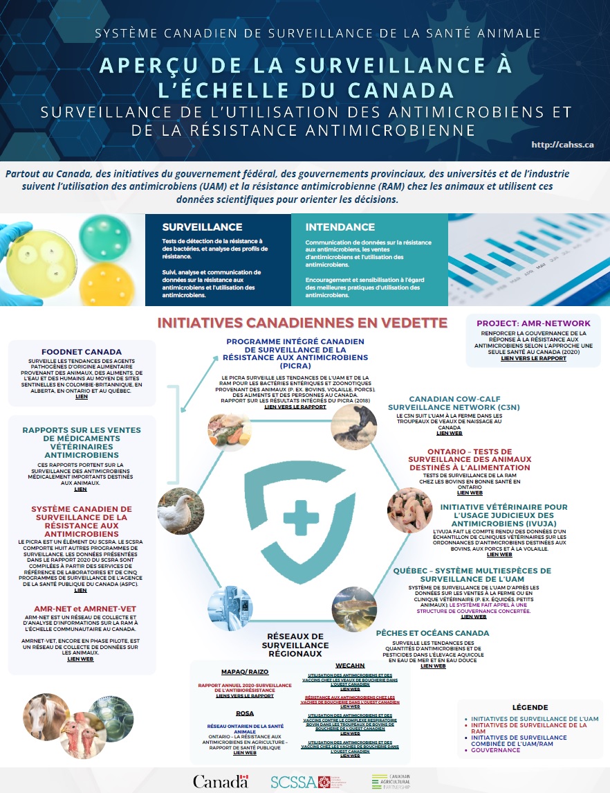 Infographie sur la surveillance à l'échelle du Canada