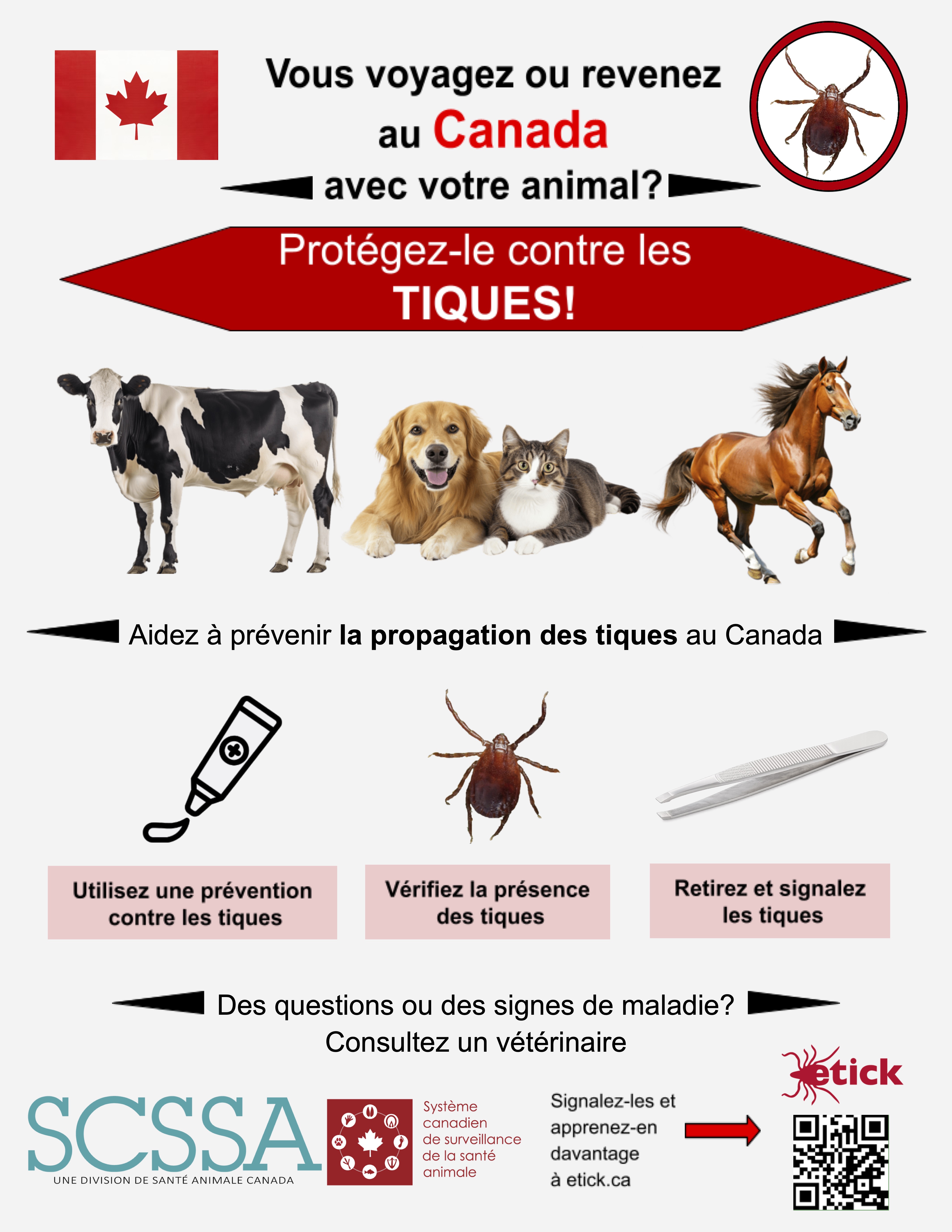 Default Border Tick Poster   Fr   2 2