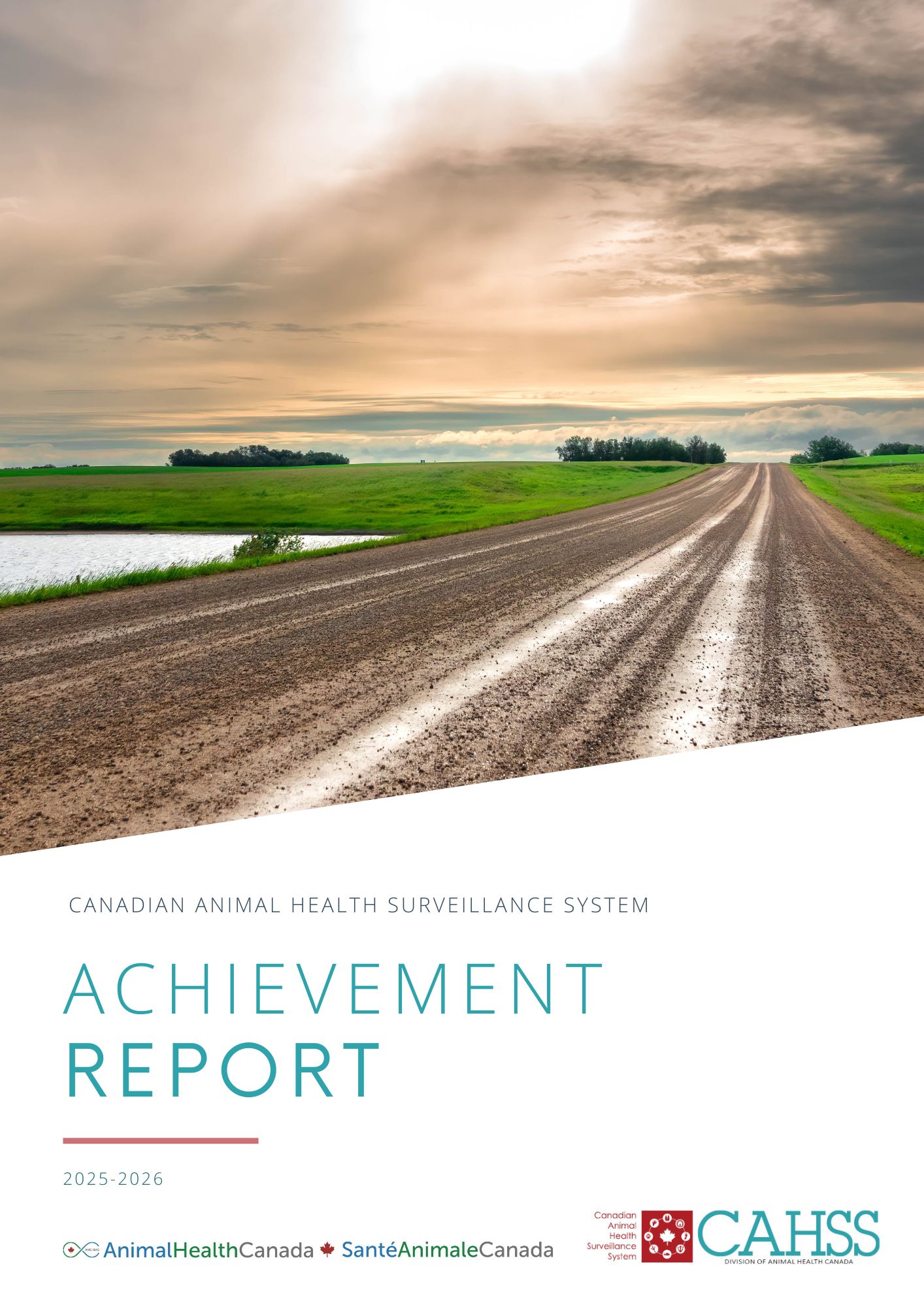 Default Cahss Achievement Report 25 26