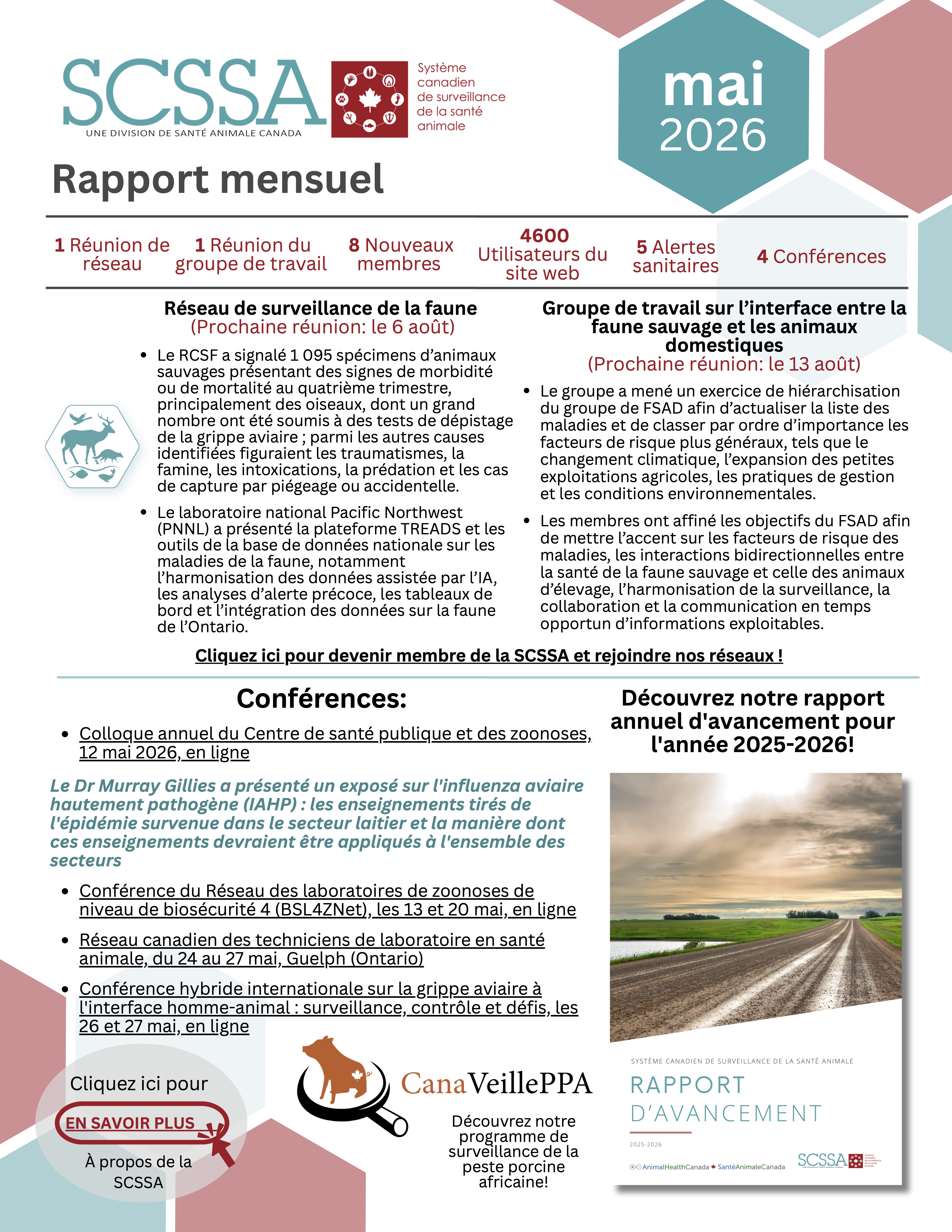 Default Rapport Mensuel Mai 2026 2