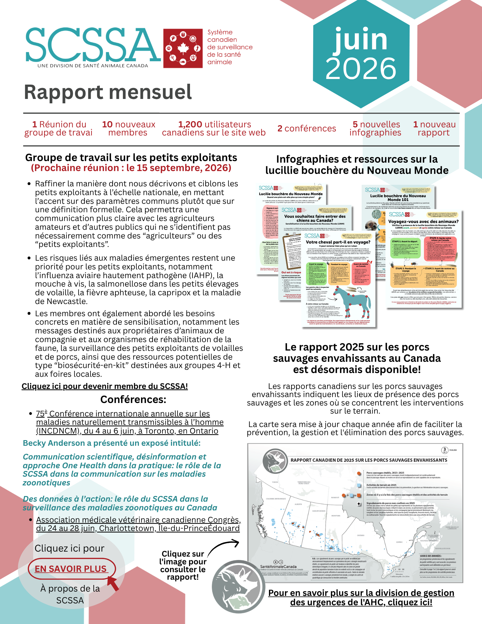 Default Scssa Rapport Mensuel Juin 2026
