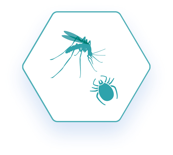 Hexagon shaped network logo with a blue outline of a mosquito and a tick
